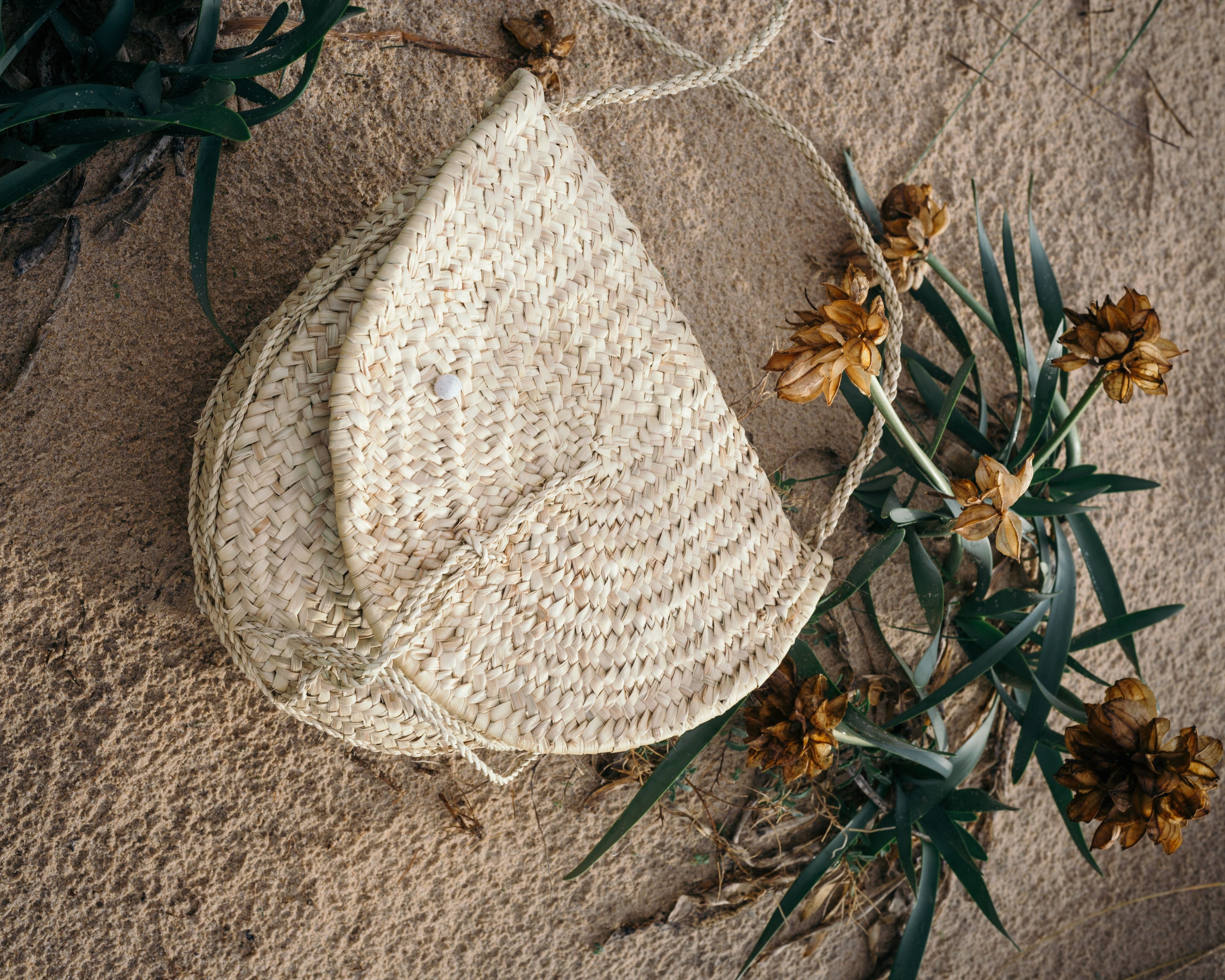 collection-banner-image